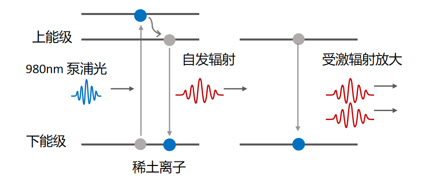 格物ASE宽带光源3.png