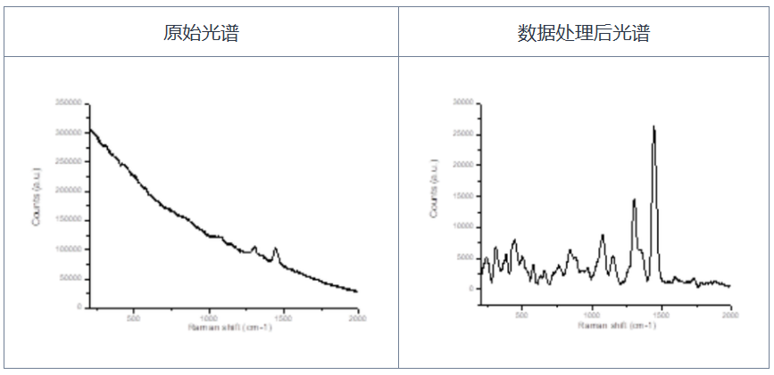 格物拉曼光谱仪OEM检测785.png